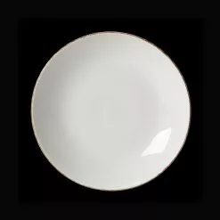 Steelite Brown Dapple Coupe Plate 25.25cm (10inch) (24 Pack) - BJ609