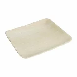 Fiesta Green Biodegradable Palm Leaf Plates Square 200mm (Pack Of 100) - DK376