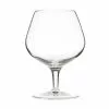 Artis Napoleon Crystal Brandy Glass 8oz (24 Pack) - CA125