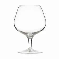 Artis Napoleon Crystal Brandy Glass 8oz (24 Pack) - CA125