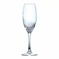 Steelite Vino Grande Flute / Champagne 24.2cl 8 1/2oz (24 Pack) - C2200